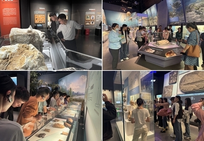 道中华之美，行后勤之实 后勤服务总公司赴成都理工大学博物馆开展主题学习活动